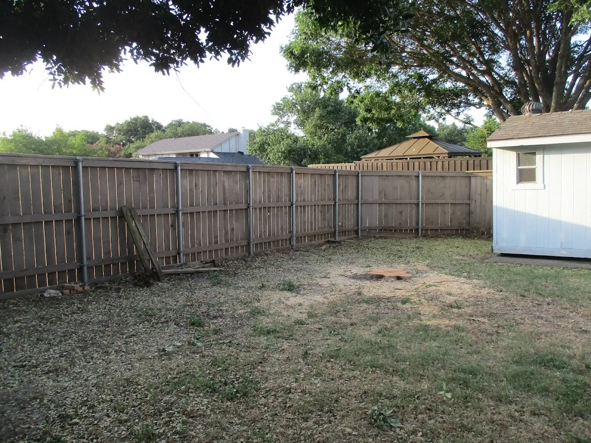Cleared yard after professional tree removal in Smithfield